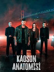 Kaosun Anatomisi posteri