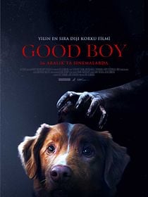 Good Boy