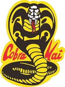 Cobra Kai 6. Sezon - Prodüksiyon Duyurusu