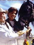 The Adventures of the Black Stallion Sezon 3 posteri