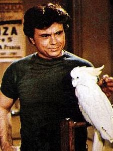 Baretta Sezon 4 posteri