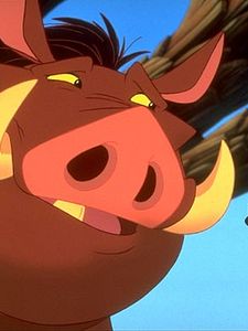 Timon and Pumbaa Sezon 5 posteri