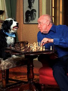 Life as We Know It Sezon 1 posteri