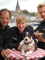 Da Kommt Kalle Sezon 5 posteri