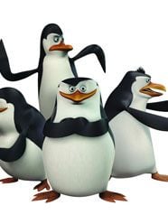 The Penguins of Madagascar Sezon 1 posteri