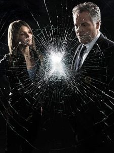 Law & Order: Criminal Intent Sezon 10 posteri