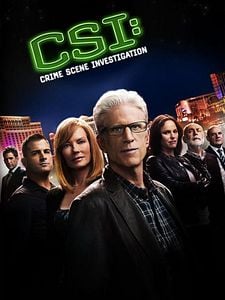 CSI: Crime Scene Investigation Sezon 15 posteri