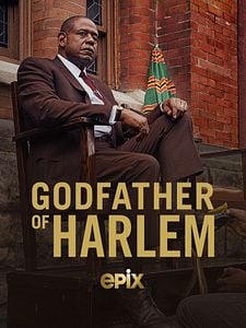 Godfather of Harlem Sezon 4 posteri