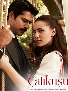 Çalıkuşu Sezon 1 posteri