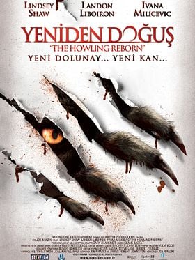 Yeniden Doğuş posteri