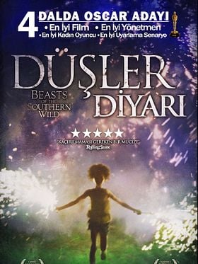 Düşler Diyarı posteri