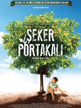 Şeker Portakalı posteri