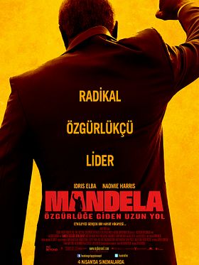 Mandela: Özgürlüğe Giden Uzun Yol posteri