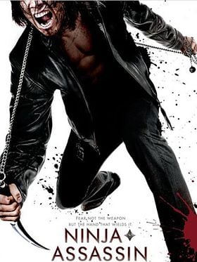 Ninja’nın İntikamı posteri