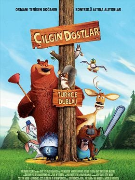 Çılgın Dostlar posteri