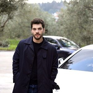 Fotoğraf Yaban Çiçekleri