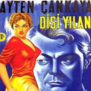 Fotoğraf Dişi Yılan