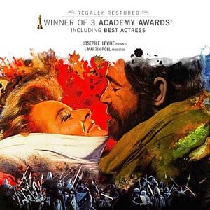 Fotoğraf Kış Aslanı