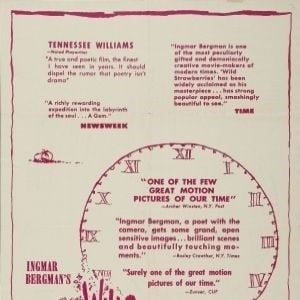 Fotoğraf Yaban Çilekleri