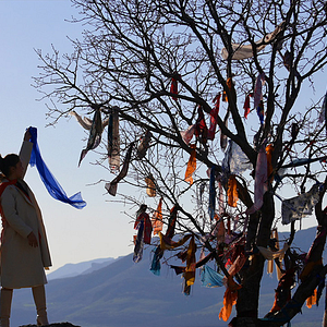 Fotoğraf Halef: Köklerin Çağrısı