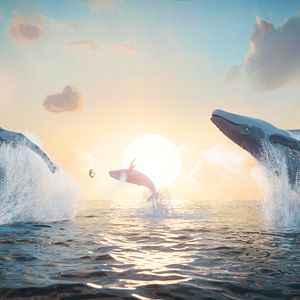 Fotoğraf Şarkıcı Balina