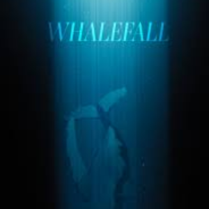 Fotoğraf Whalefall