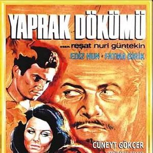 Fotoğraf Yaprak Dökümü