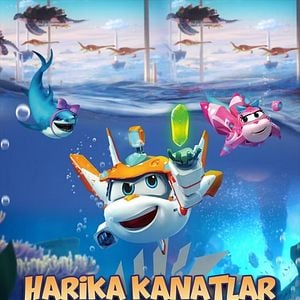 Fotoğraf Harika Kanatlar: Okyanusun Merkezine Yolculuk