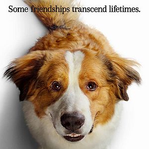 Fotoğraf Dostumun Yolculuğu