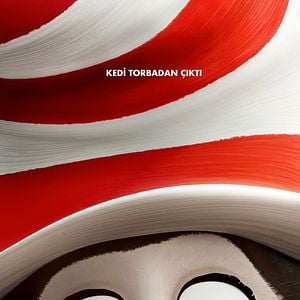 Fotoğraf Şapkalı Kedi