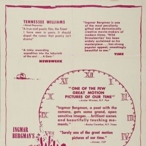 Fotoğraf Yaban Çilekleri