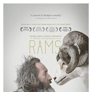 Fotoğraf İnatçılar