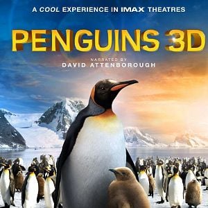 Fotoğraf Penguen Kral 3D