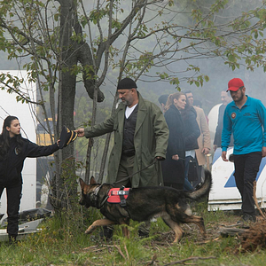 Fotoğraf Arka Sokaklar