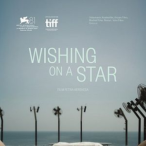 Fotoğraf Wishing on a Star