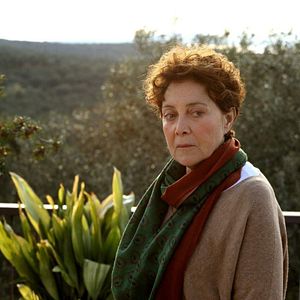 Fotoğraf Yaban Çiçekleri