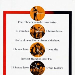 Fotoğraf Köpeklerin Günü