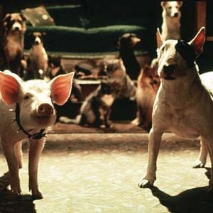 Fotoğraf Bebe Şehirde