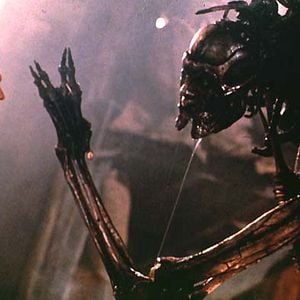 Fotoğraf Tehlikeli Tür 2