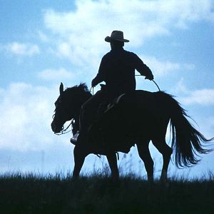 Fotoğraf Atlara Fısıldayan Adam