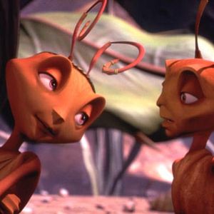 Fotoğraf Karınca Z