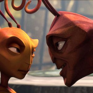 Fotoğraf Karınca Z