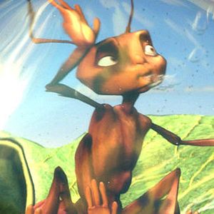 Fotoğraf Karınca Z