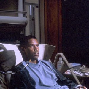 Fotoğraf Kemik Koleksiyoncusu