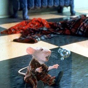 Fotoğraf Küçük Kardeşim