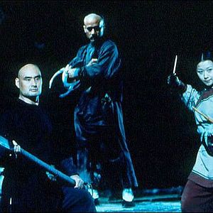 Fotoğraf Kaplan ve Ejderha