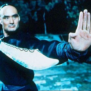 Fotoğraf Kaplan ve Ejderha