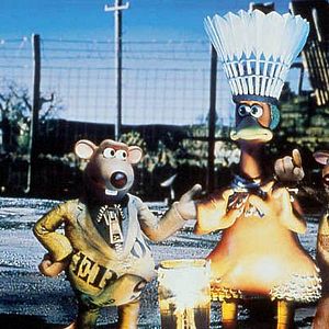 Fotoğraf Tavuklar Firarda