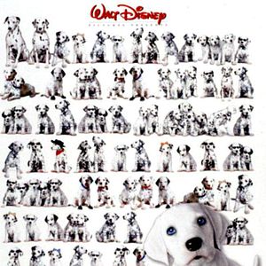 Fotoğraf 102 Dalmaçyalı