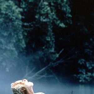 Fotoğraf Richard Dreyfuss